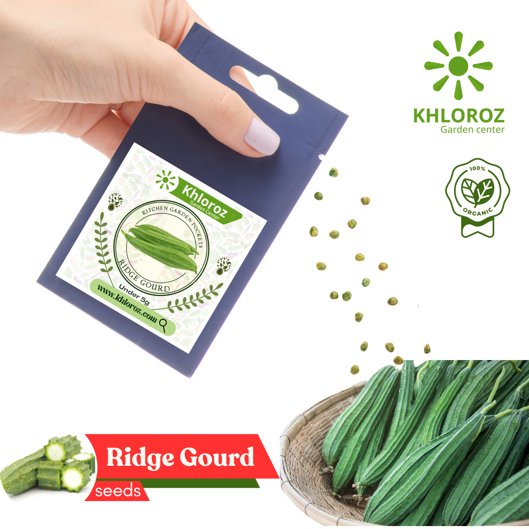 Shop Ridge Gourd Seeds Online | Vegetable Seeds | Farmgokart