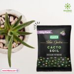IFFCO Urban Garden's - Cacto Soil | Succulent Potting Mix | नागफनी | Best for Indoor Cactus| 5Kg Pack