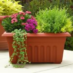 Terracotta 16 Inch|Rectangular Plastic Plant Pot | Ribbed Design | Durable Indoor and Outdoor Planter |
