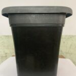 6.5 Inch | Square | Black pot |