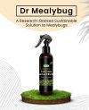 Doctor Mealybug - eliminate mealybugs