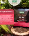 Bone Meal - Organic Phosphorus + Calcium Fertilizer, Slow Release Powder Flowering, Fruiting and Root Development