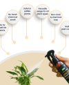 Doctor Mealybug - eliminate mealybugs